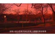 歌曲分享：向阳花